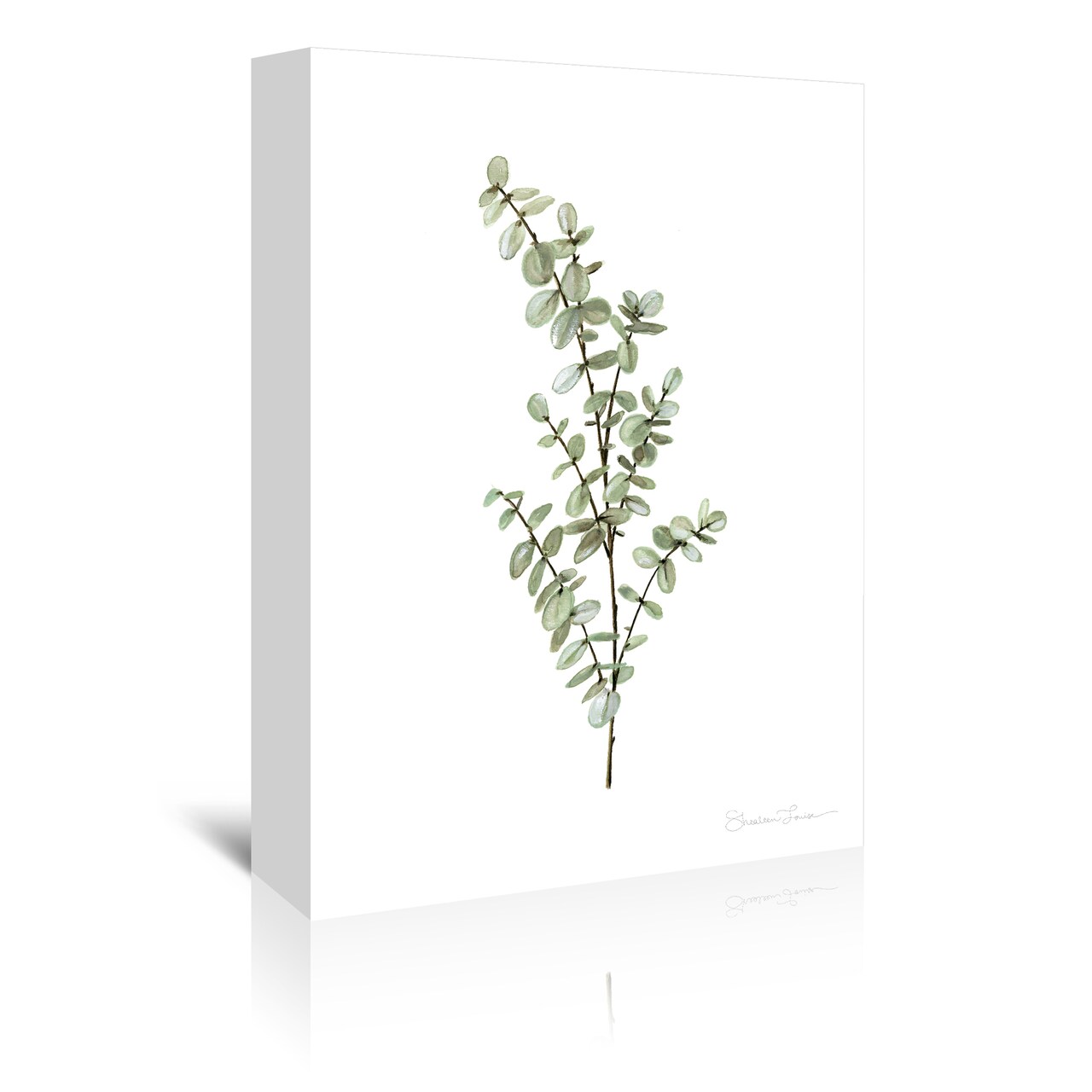 Baby Blue Eucalyptus by Shealeen Louise  Gallery Wrapped Canvas - Americanflat
